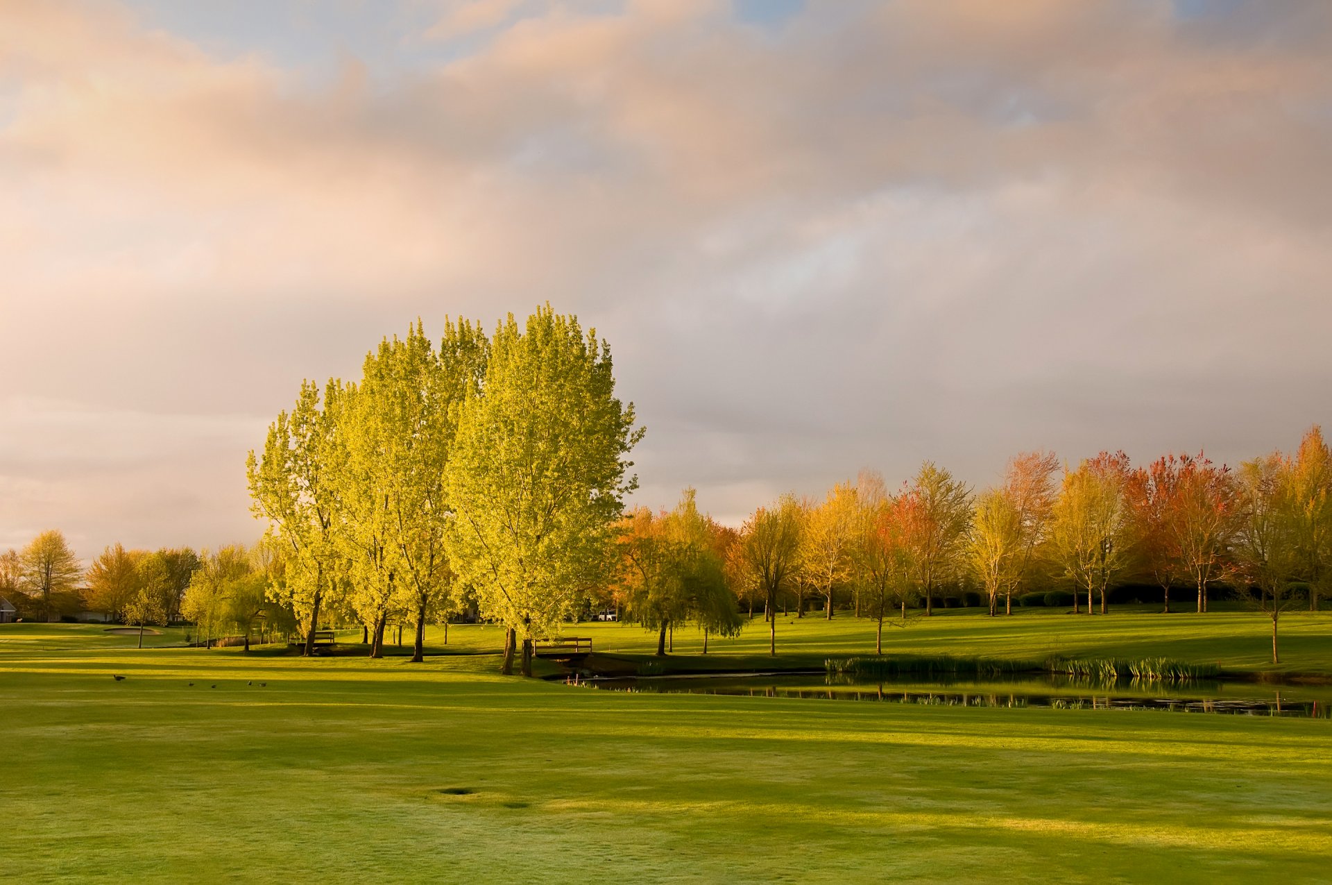 himmel wolken bäume herbst teich brücke gras park