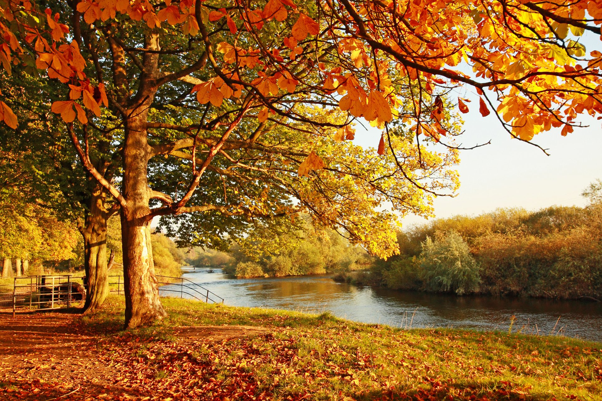 landschaft holz laub herbst wasser brücke reflexion