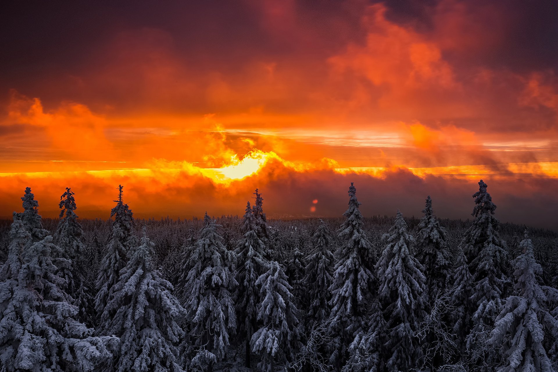 cielo sol luz puesta de sol invierno bosque nieve