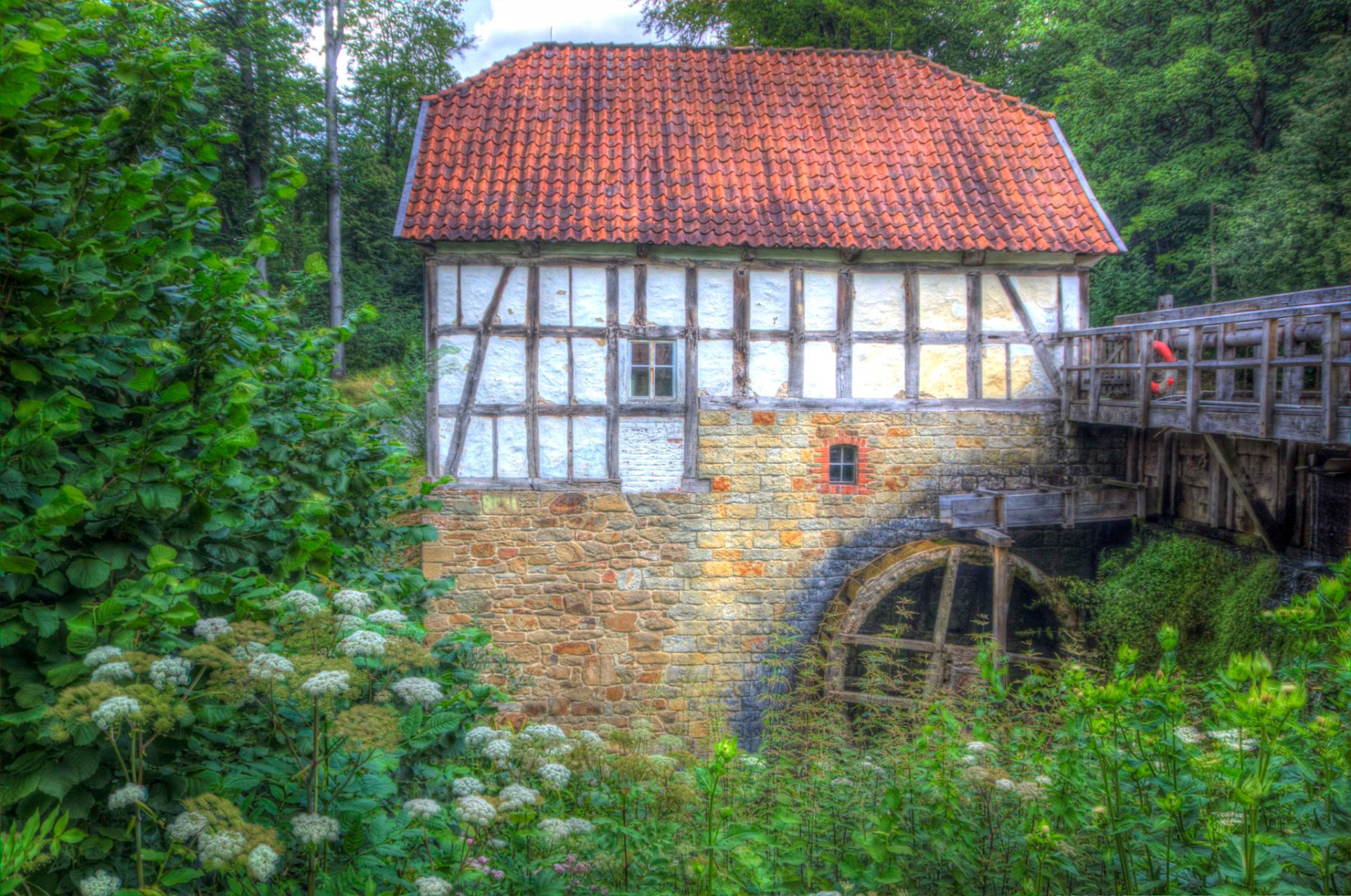 bosque árboles casa puente presa molino de agua