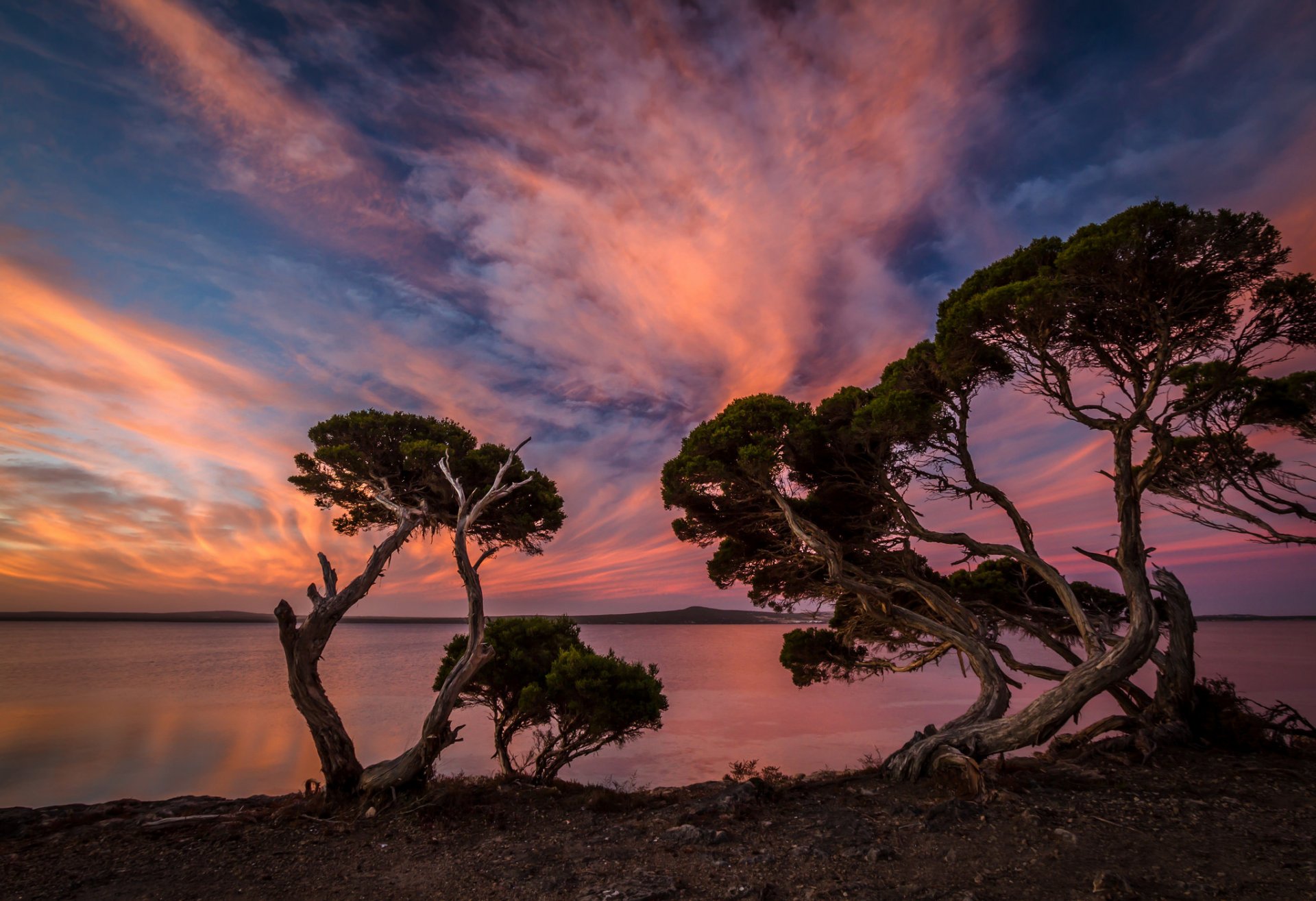 spiaggia alberi sera tramonto