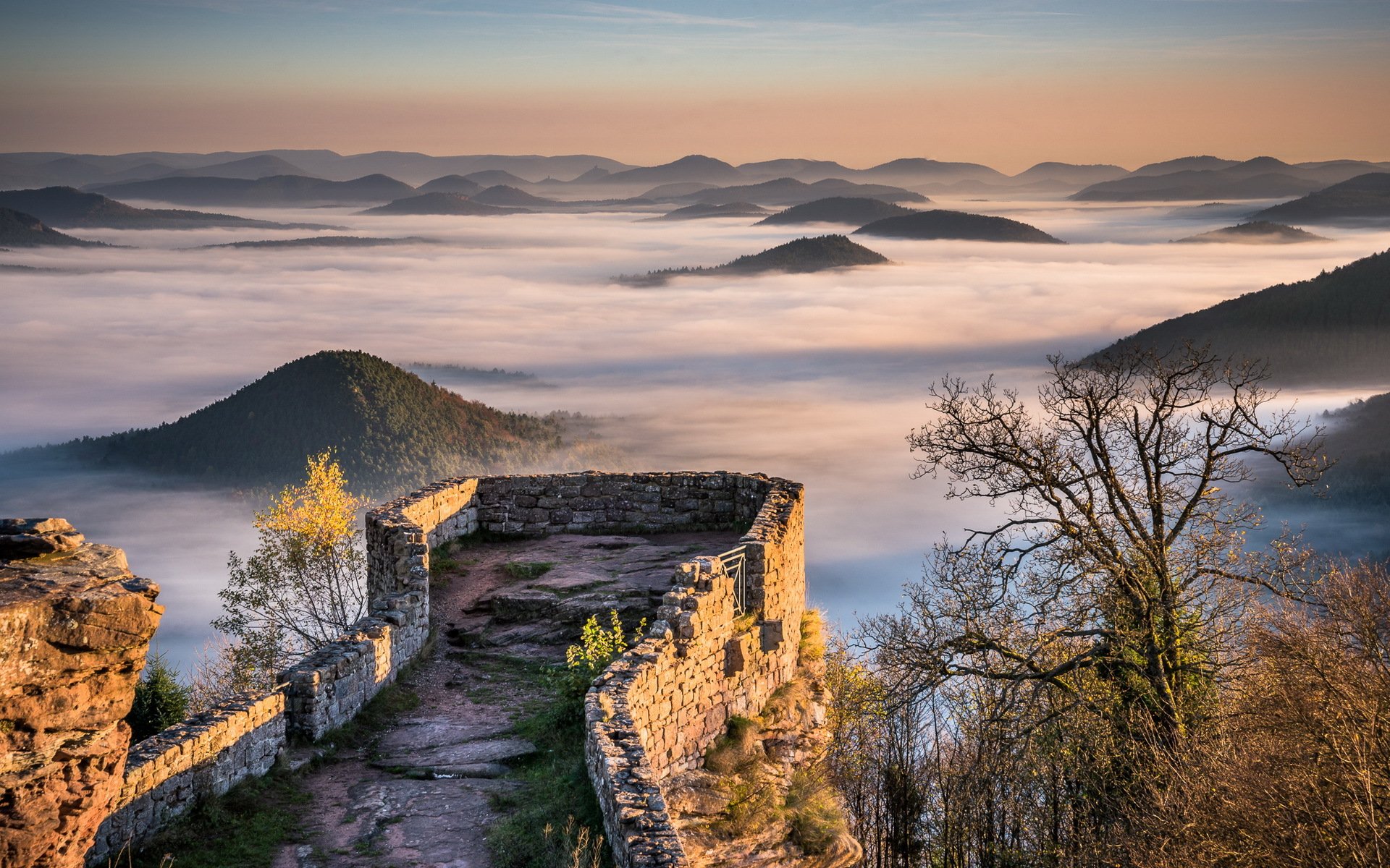 castillo ruinas bosque niebla colinas montañas wegelnburg palatinado