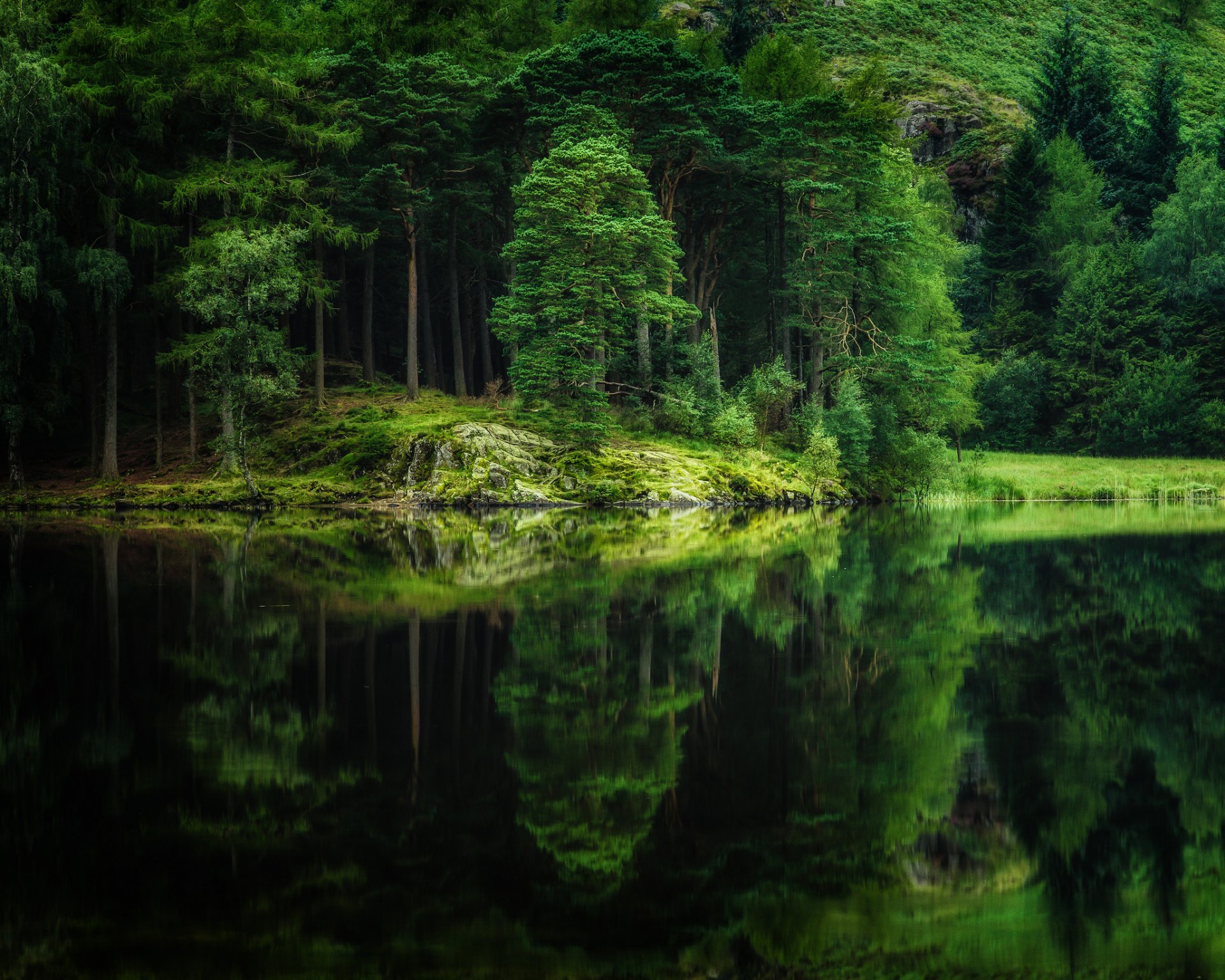 bosque naturaleza lago reflexión árboles