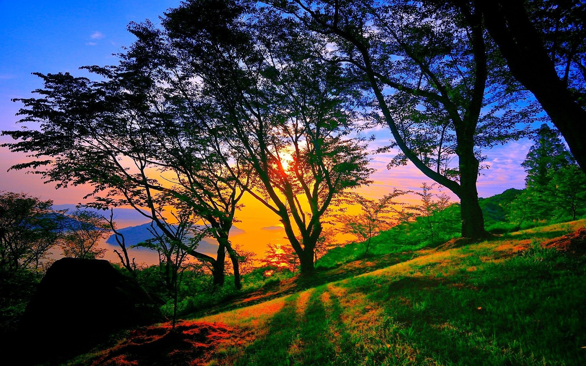 natur sonnenuntergang landschaft park bäume dunkel blau himmel