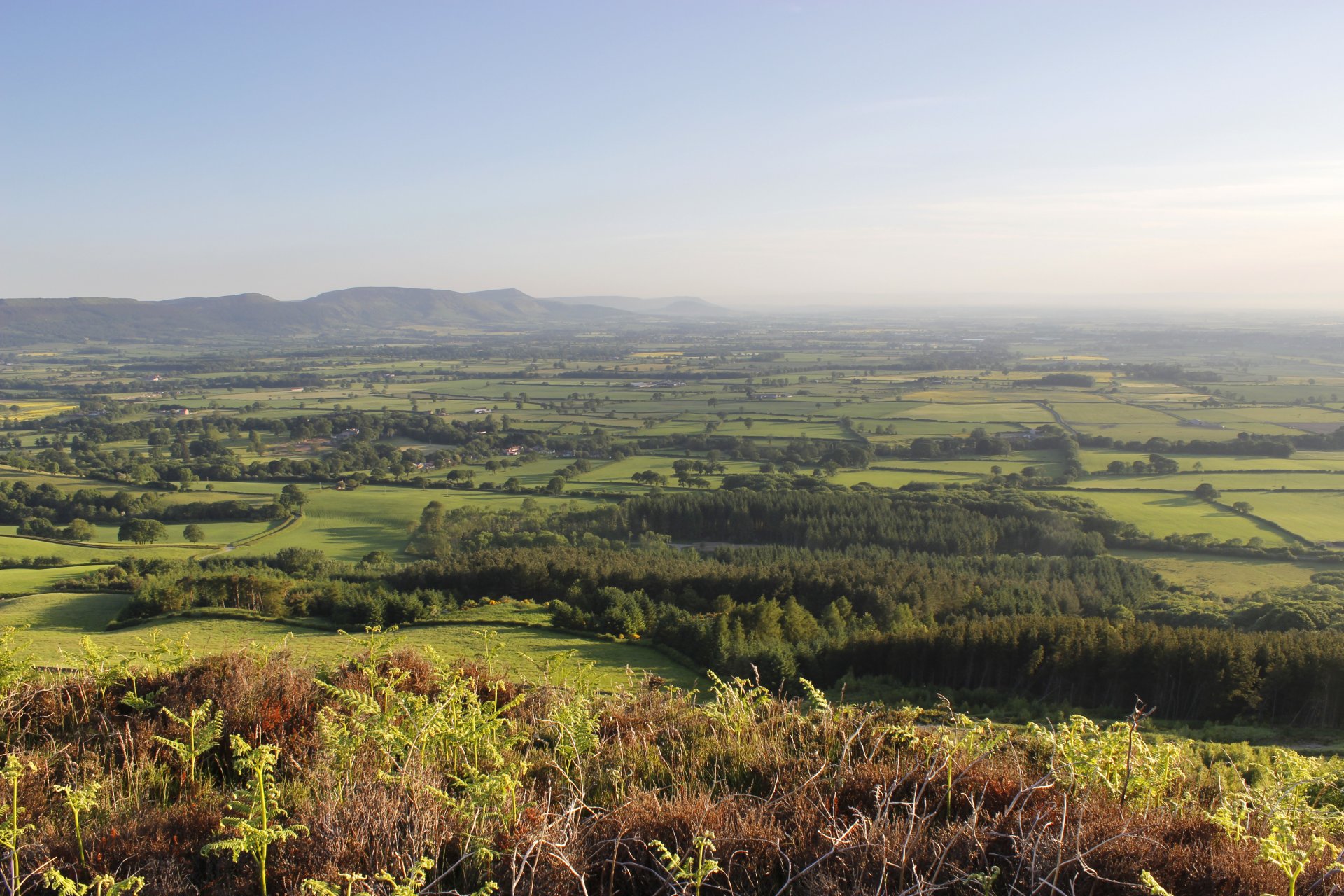 valli dello yorkshire north yorkshire inghilterra colline fiumi frazioni pascoli verdi lussureggianti brughiere piccole foreste alberi