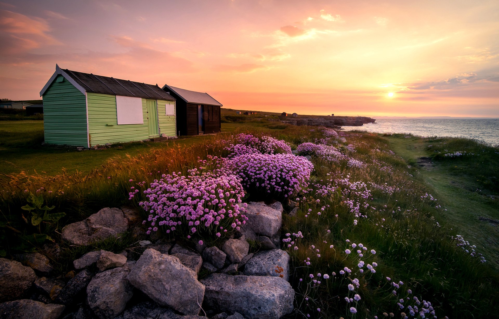 portland dorset inglaterra flores isla condado de dorset reino unido piedras hierba cabañas sol salida del sol paisaje