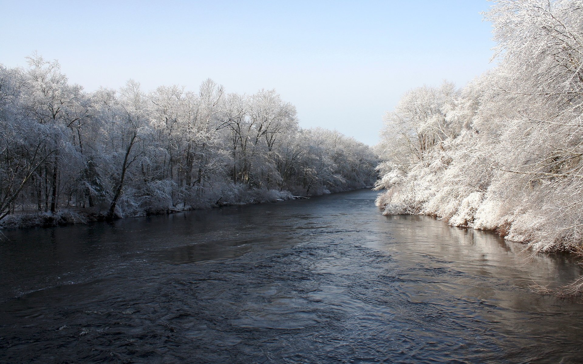 rivière arbres hiver