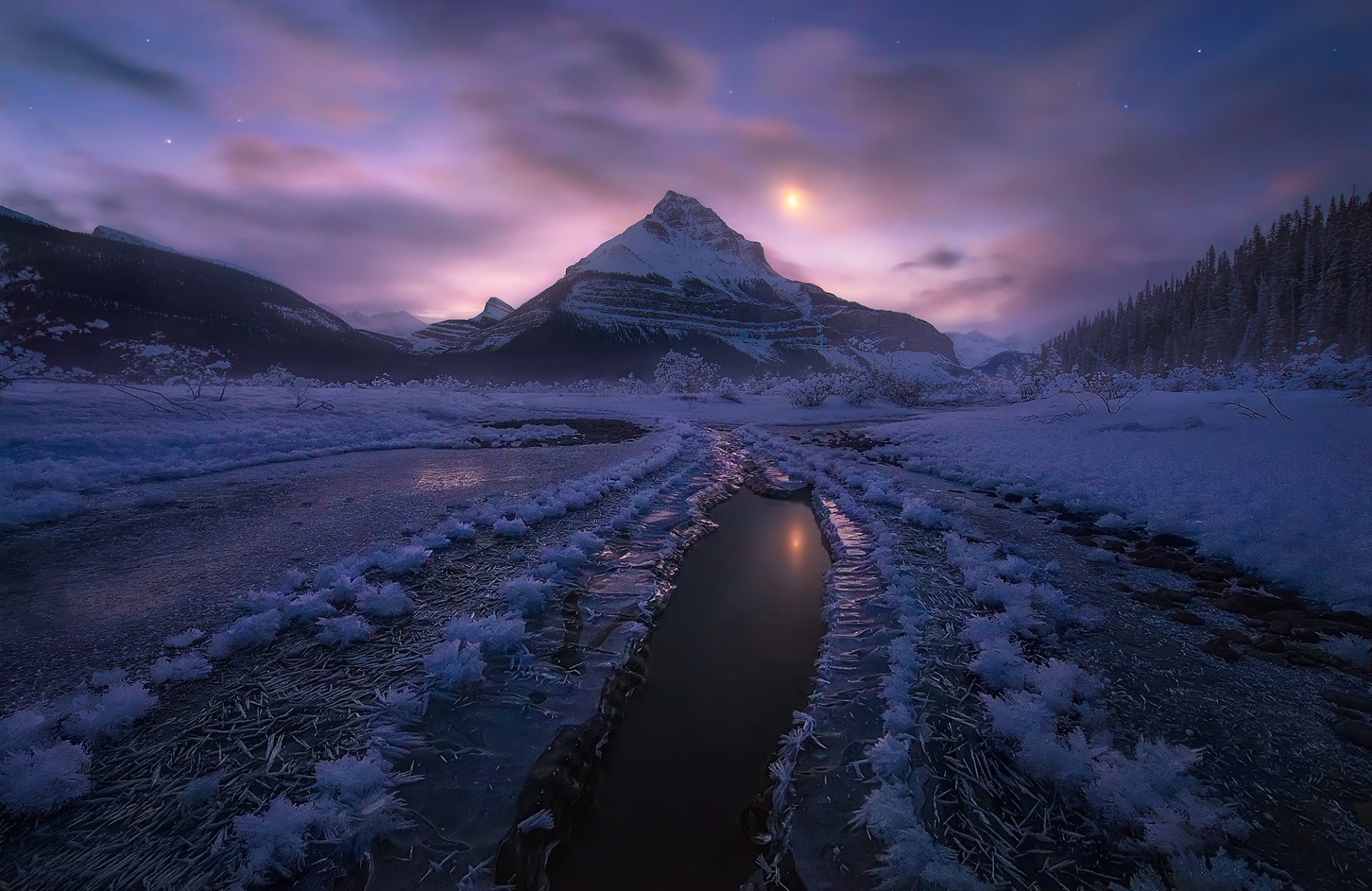 canada albert jasper national park winter snow mountain night moonlight