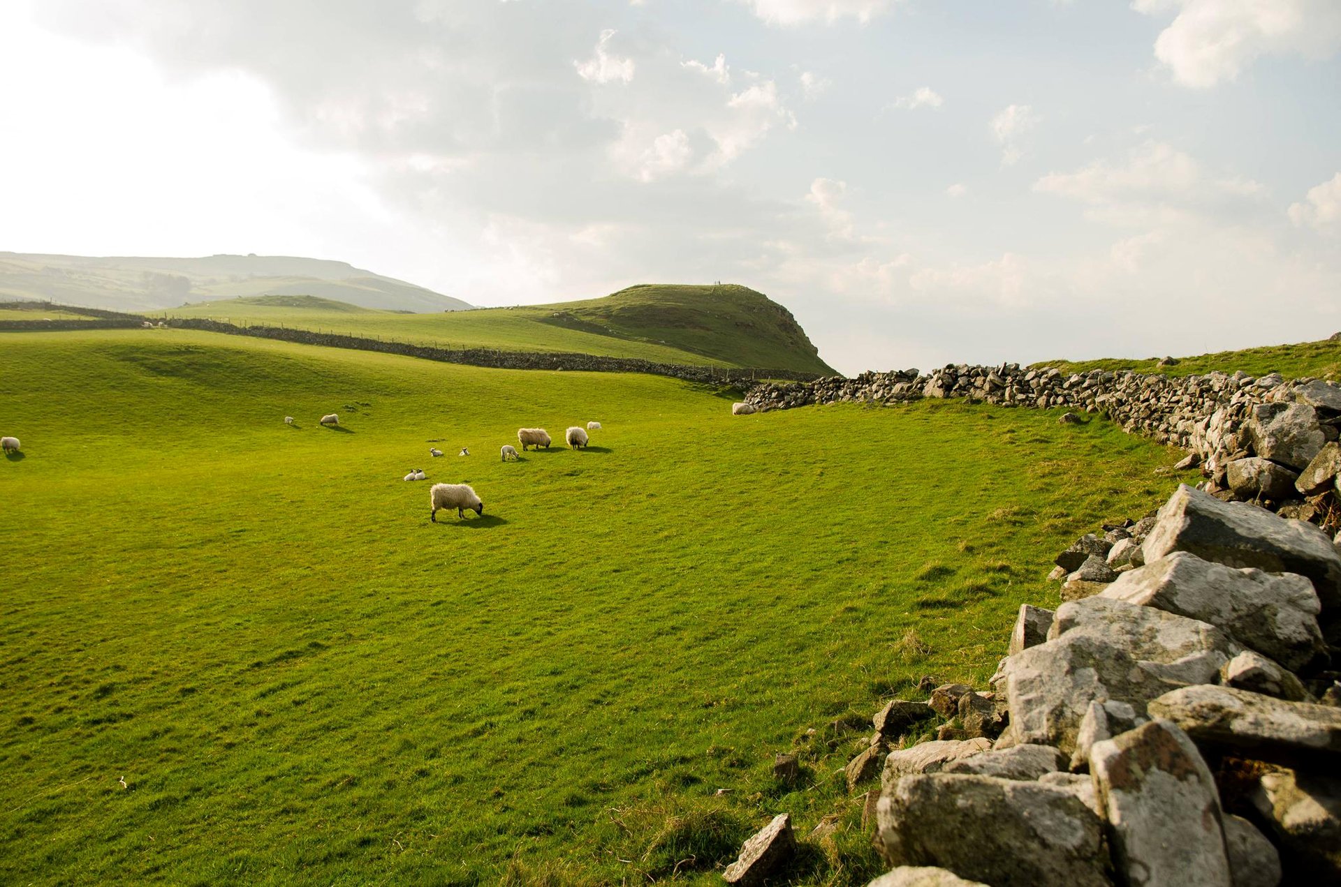 irlanda del norte cielo hierba ovejas piedras