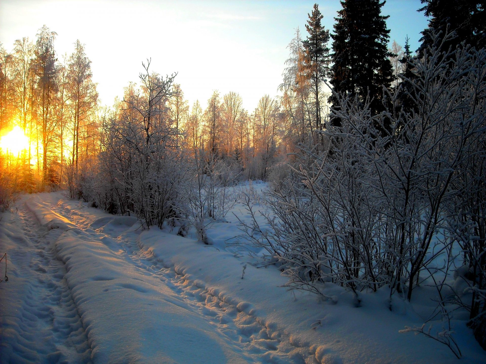 naturaleza invierno nieve cielo paisaje invierno blanco bosque carretera fresco agradable puesta de sol