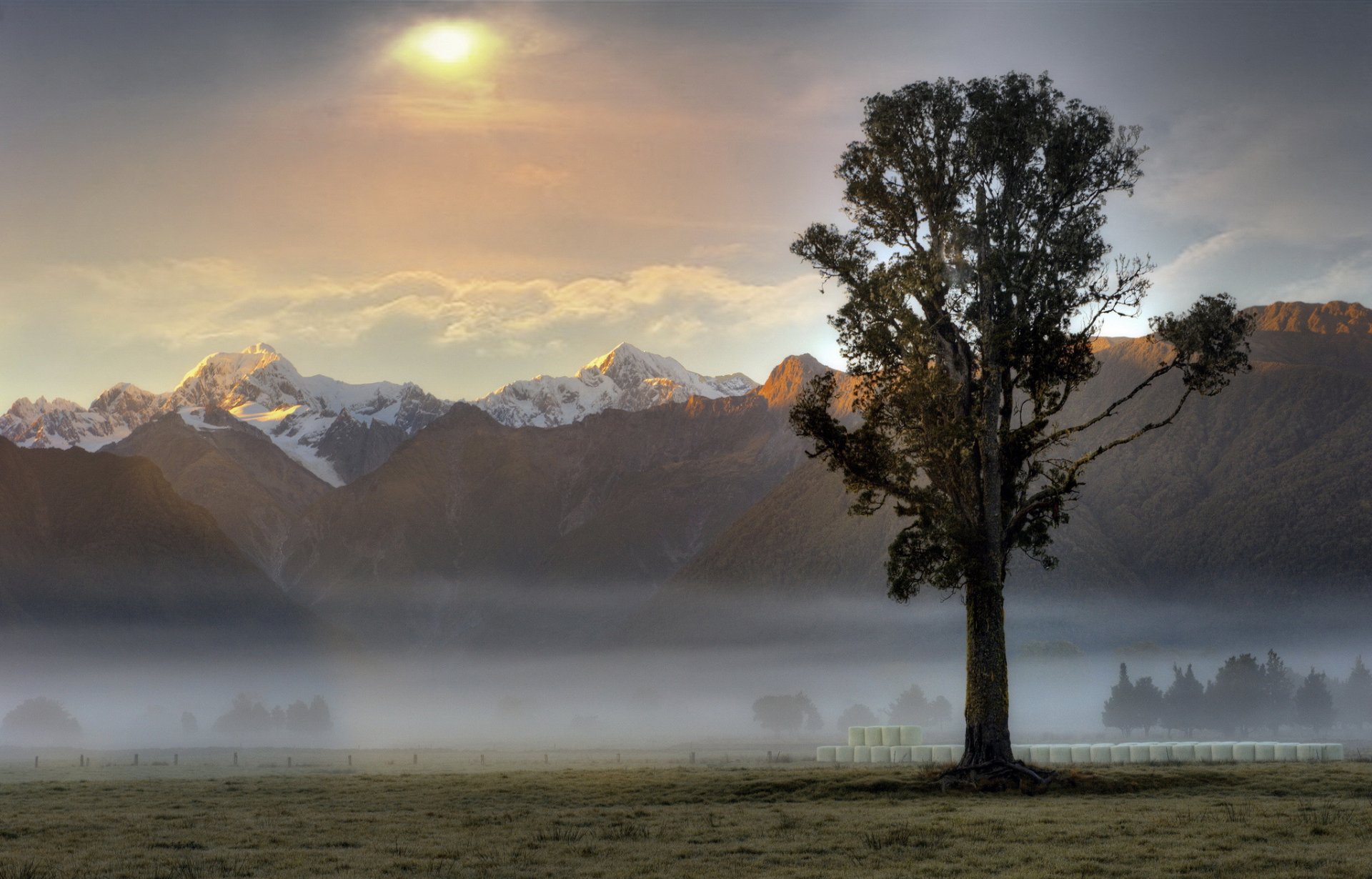 montagnes brouillard arbre matin aube