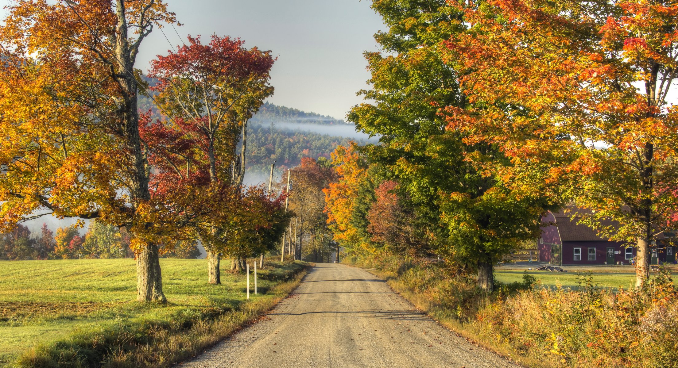 camino árboles naturaleza otoño