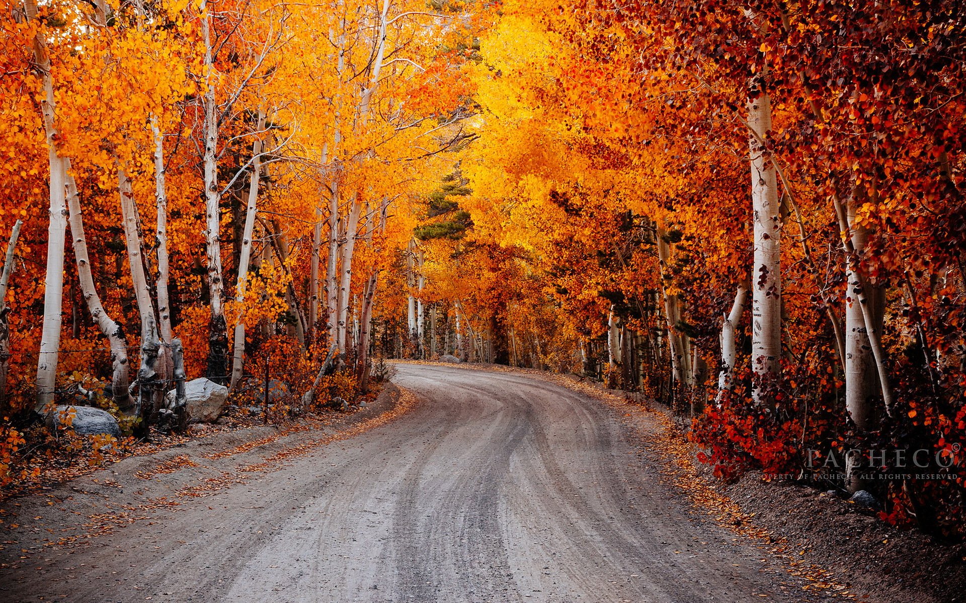 north lake autumn bishop california