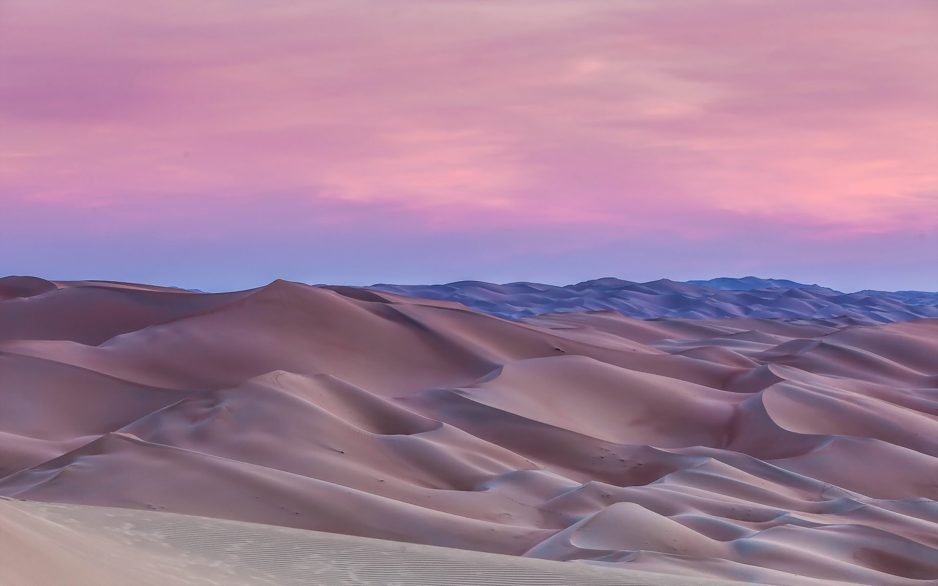 desert dune landscape