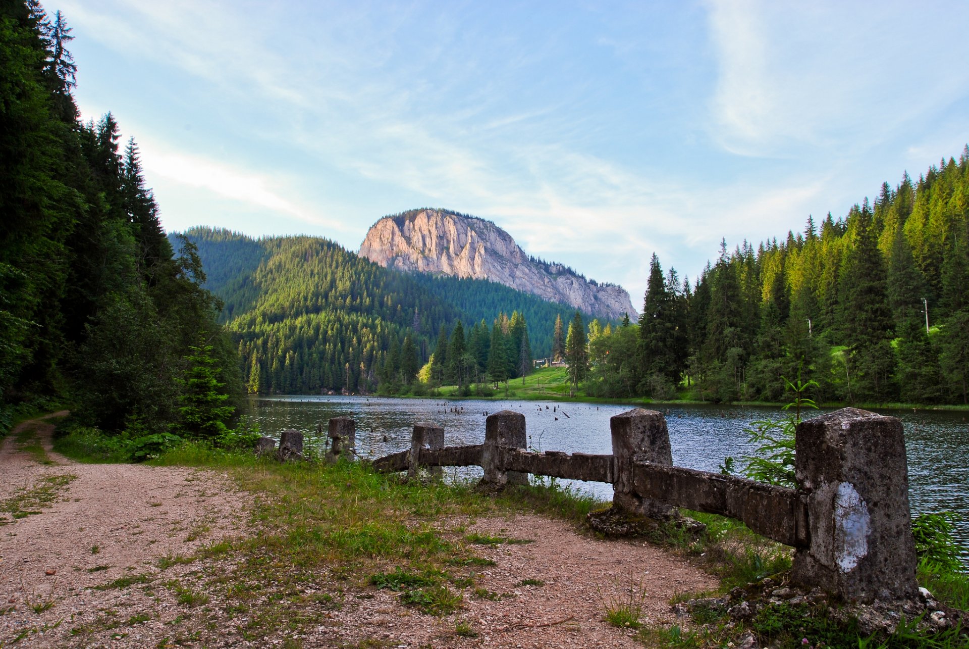 mountain forest river