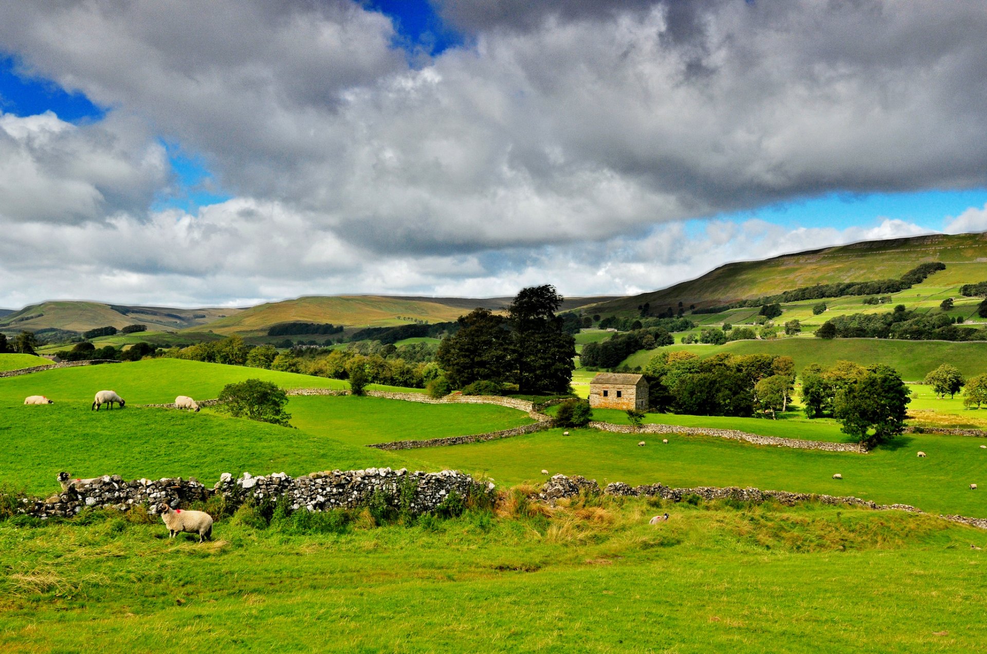 yorkshire dales inghilterra settentrionale yorkshire dales parco nazionale natura verde alberi cielo nuvole paesaggio