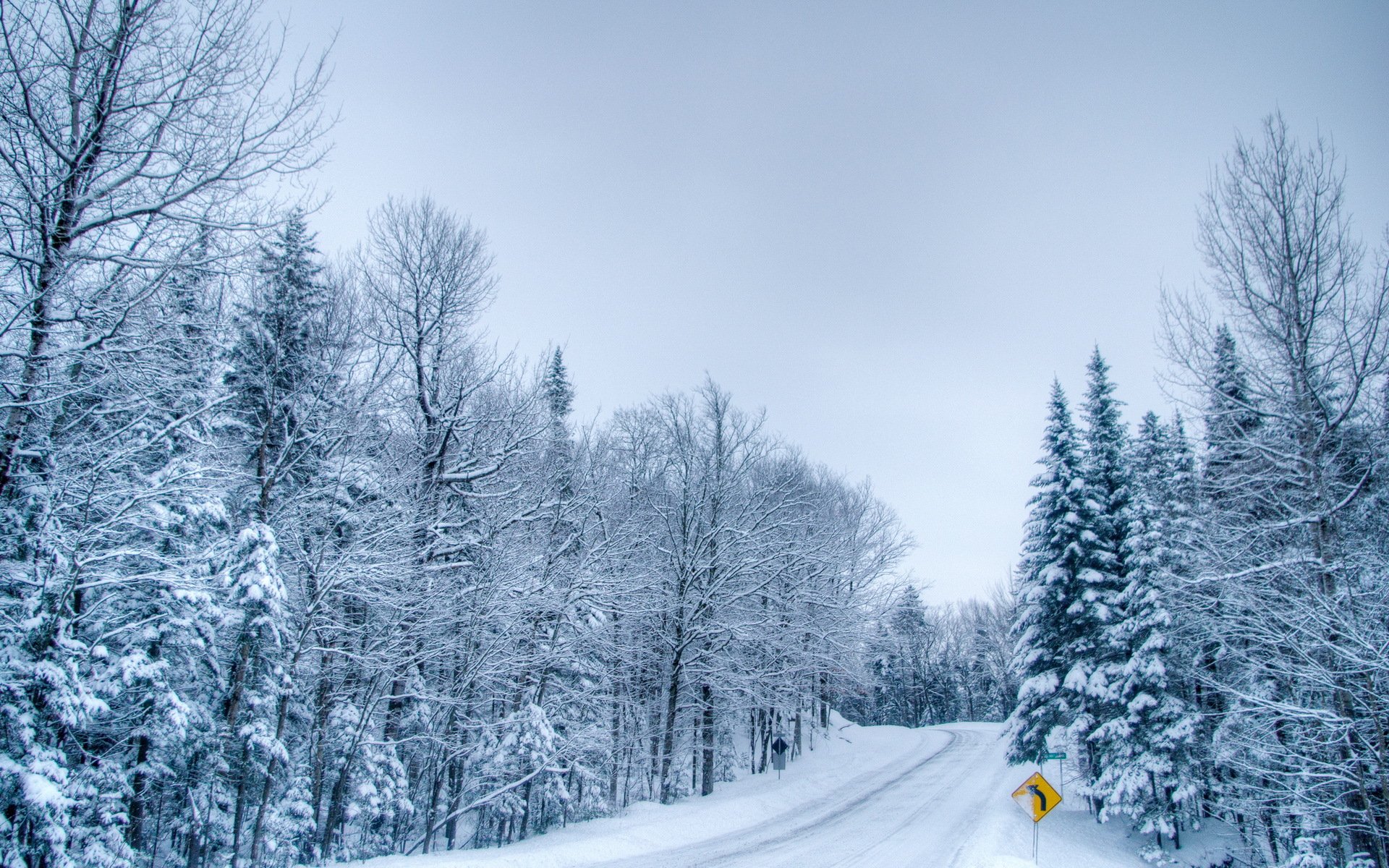 invierno carretera bosque signo