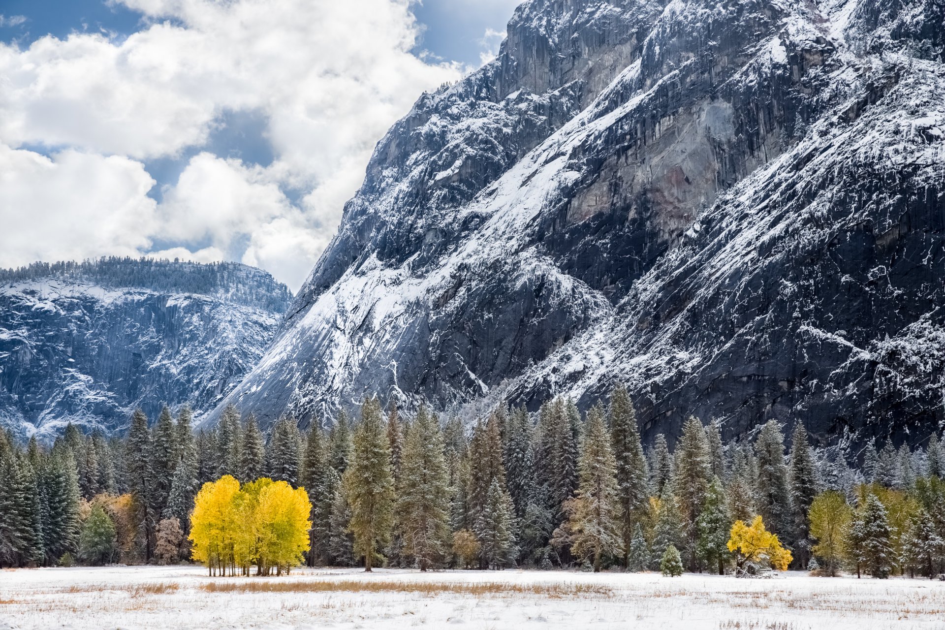 tuolumne луга калифорния usа гора лес зима снег