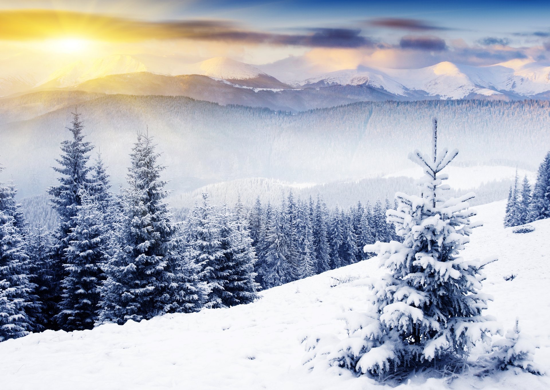 natura zima góry choinki śnieg słońce zima drzewa