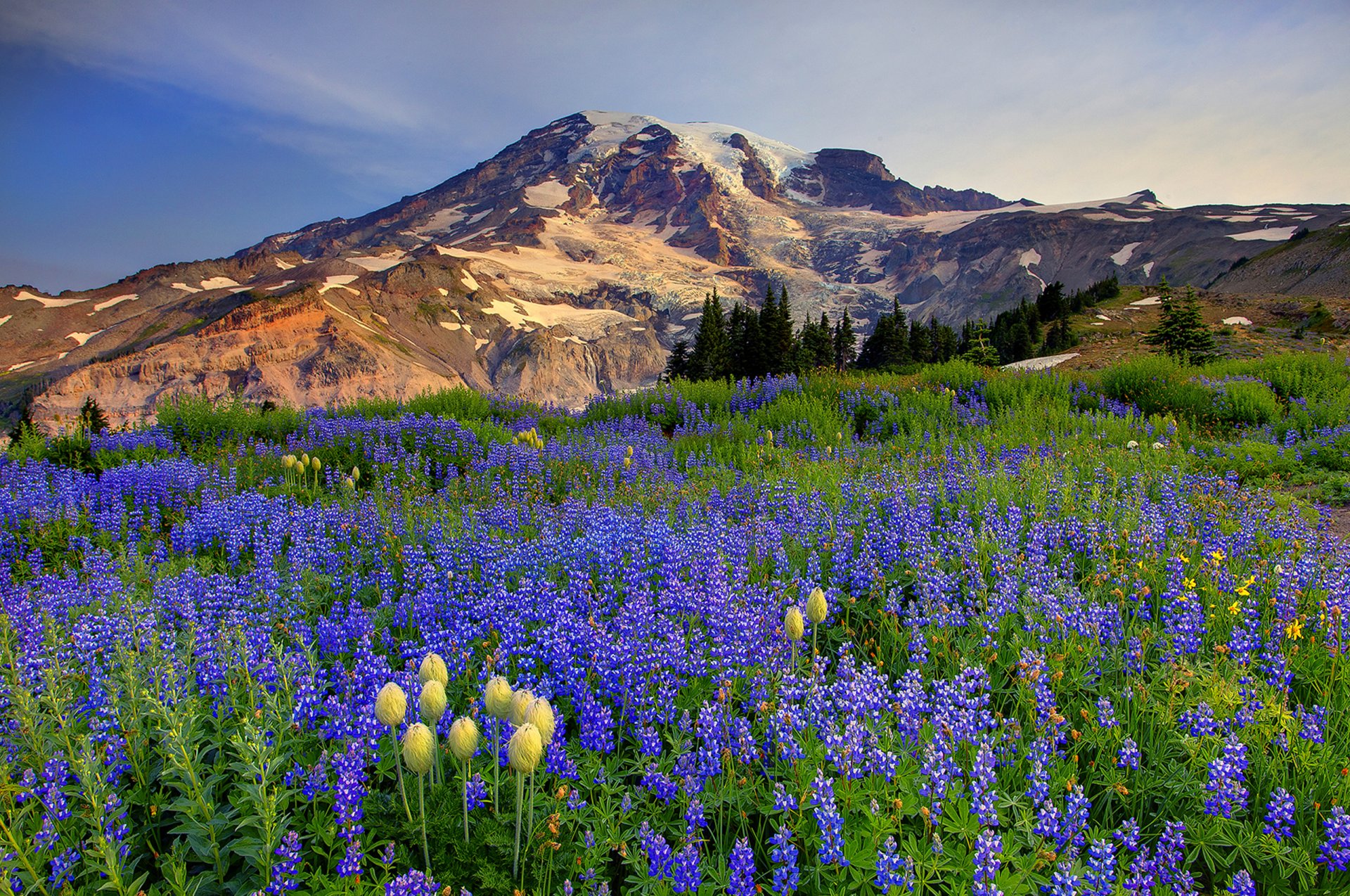 himmel wolken berge schnee bäume wiese blumen natur