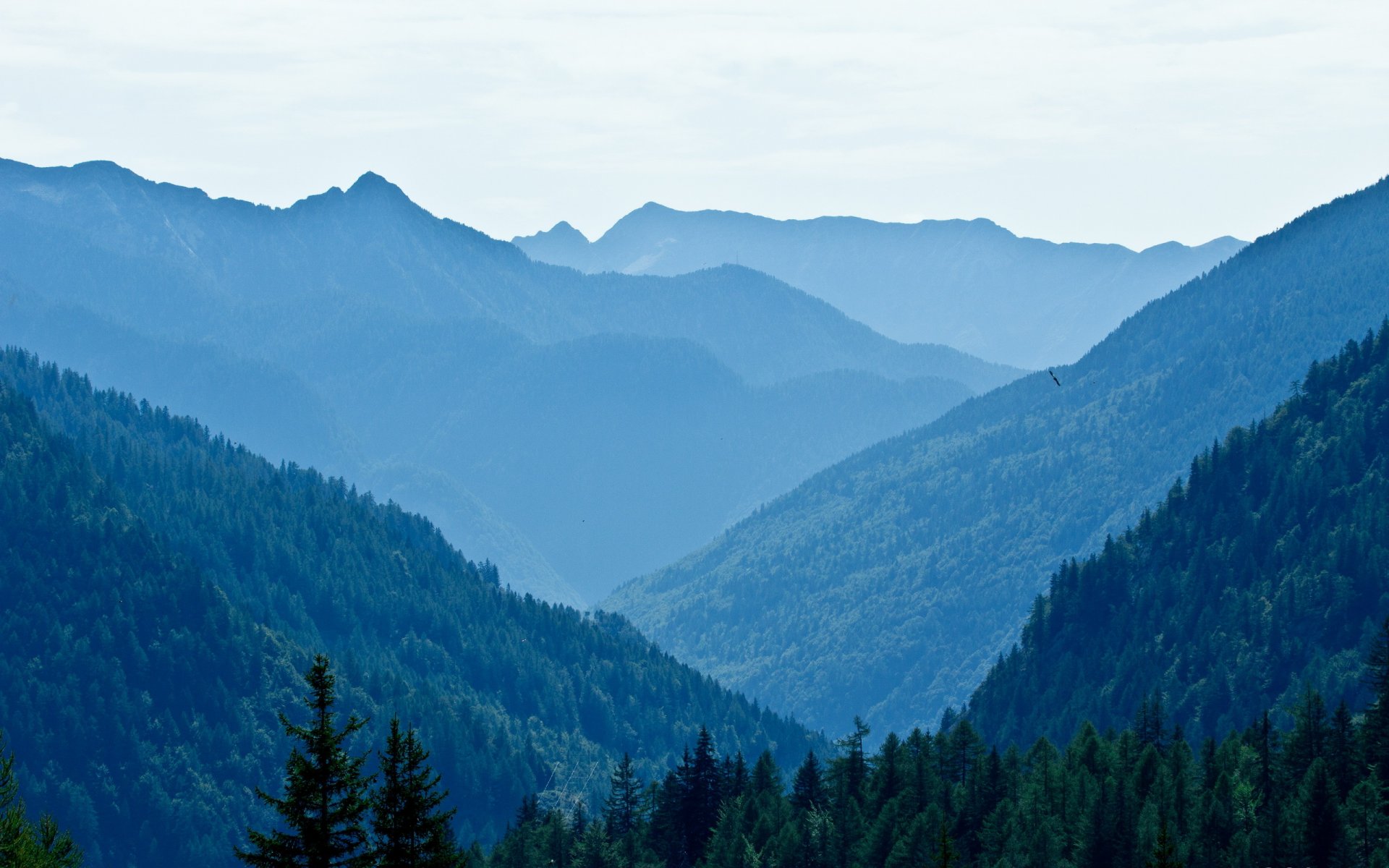 berge bäume landschaft