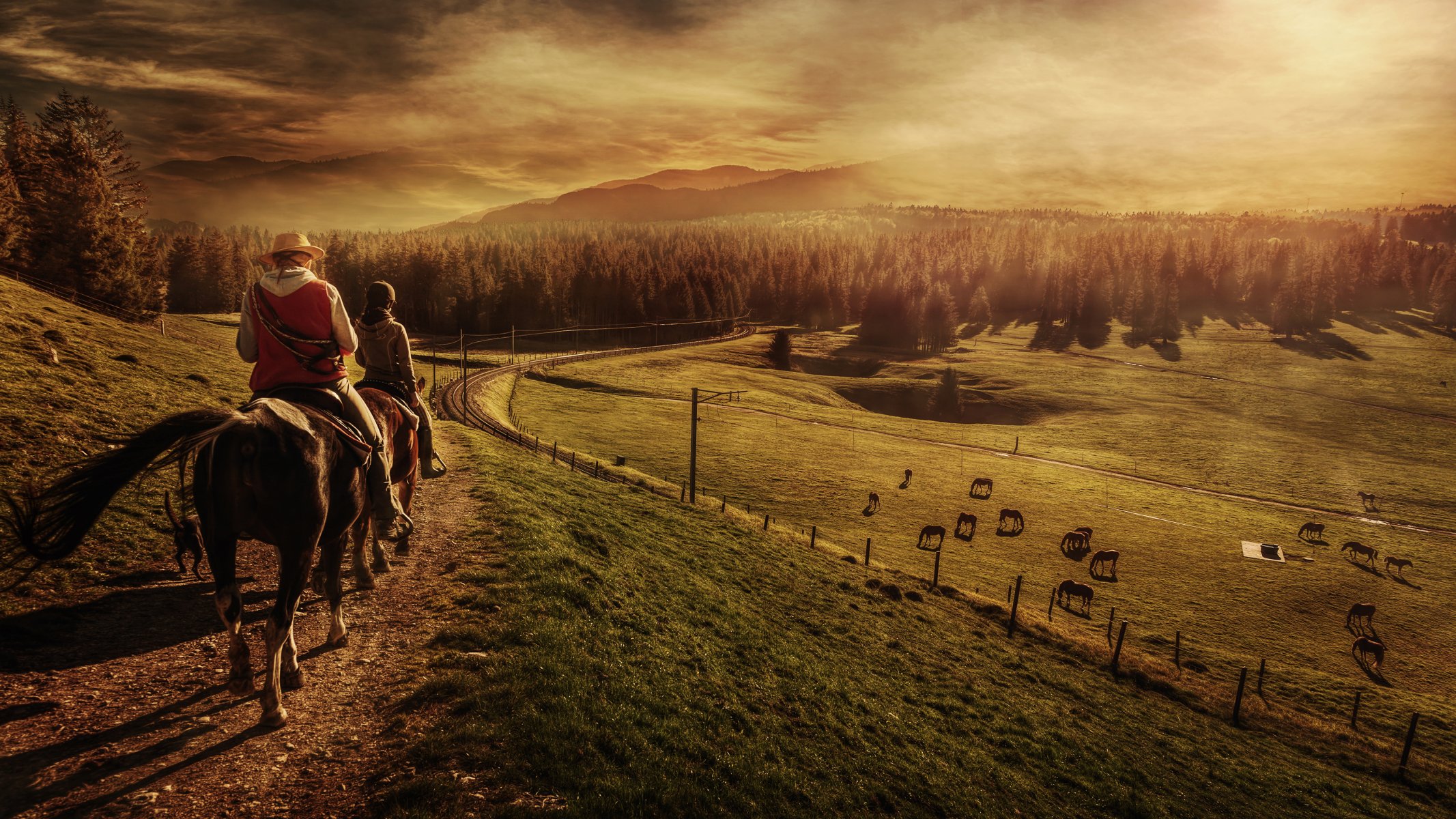 landschaft hügel vororte weg menschen reiter reiter feld weide tiere pferde eisenbahn wald horizont hochland