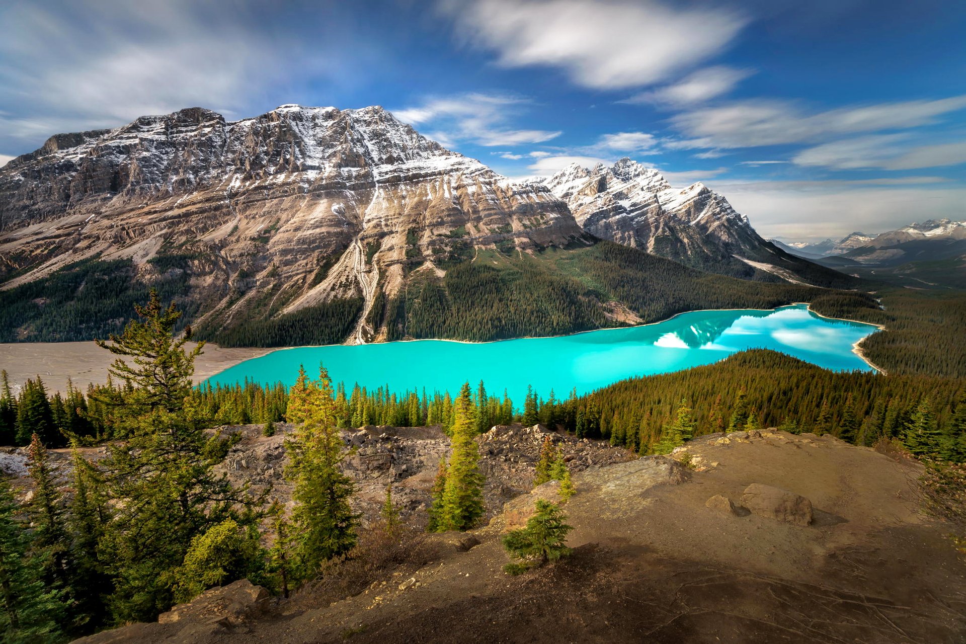 peyto lake. banff national park alberta canada mountain sky clouds lake tree forest