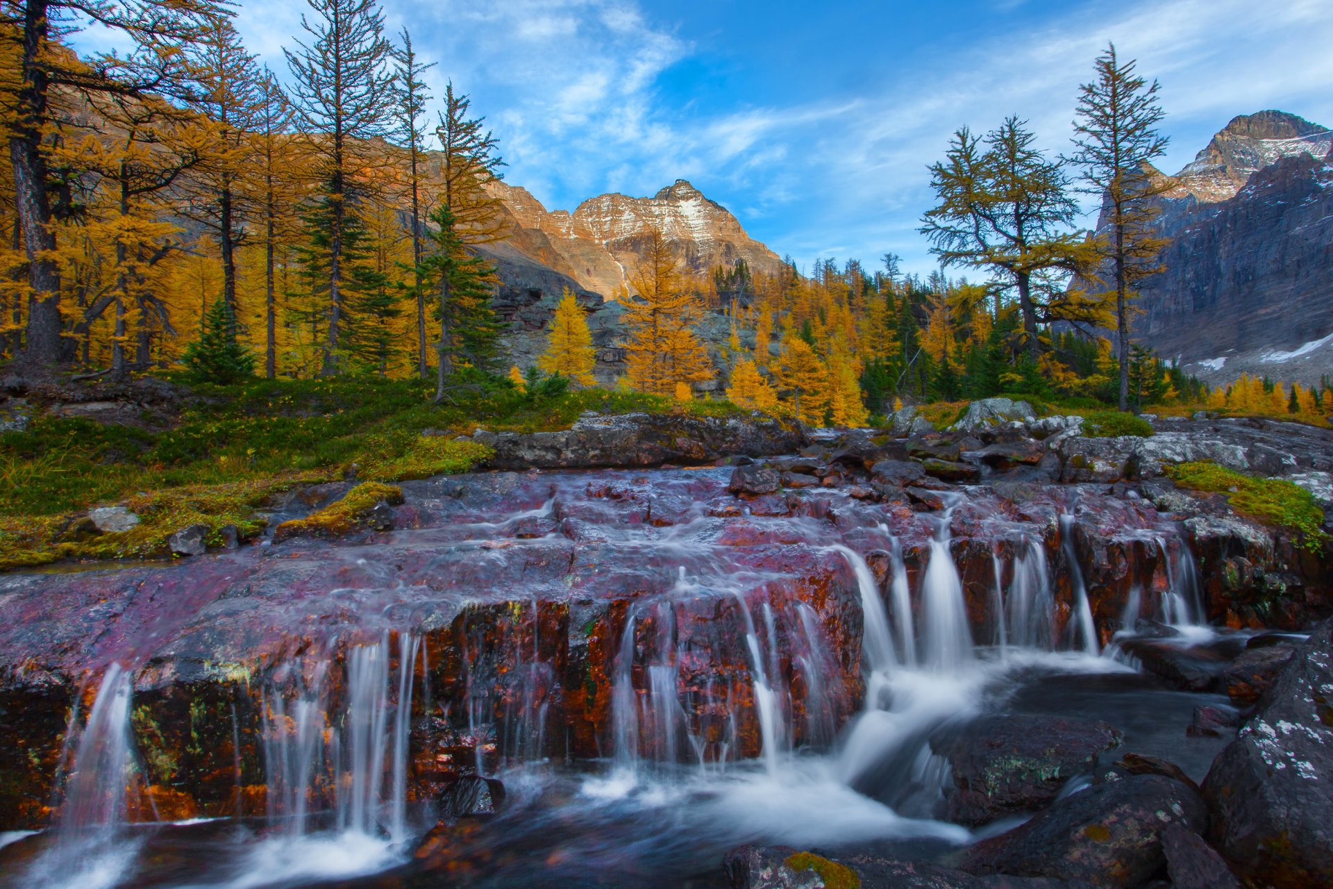 columbia británica canadá montañas bosque árboles rocas río cascada rápidos otoño