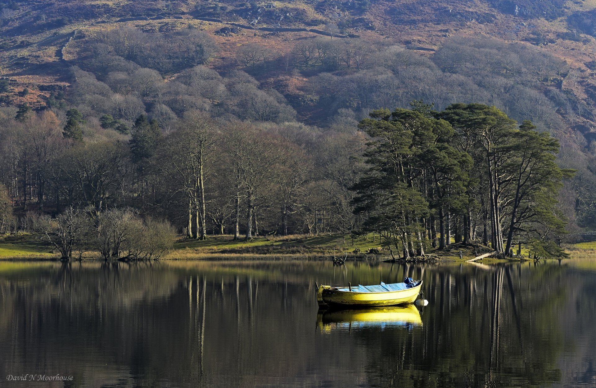 arbres lac bateau