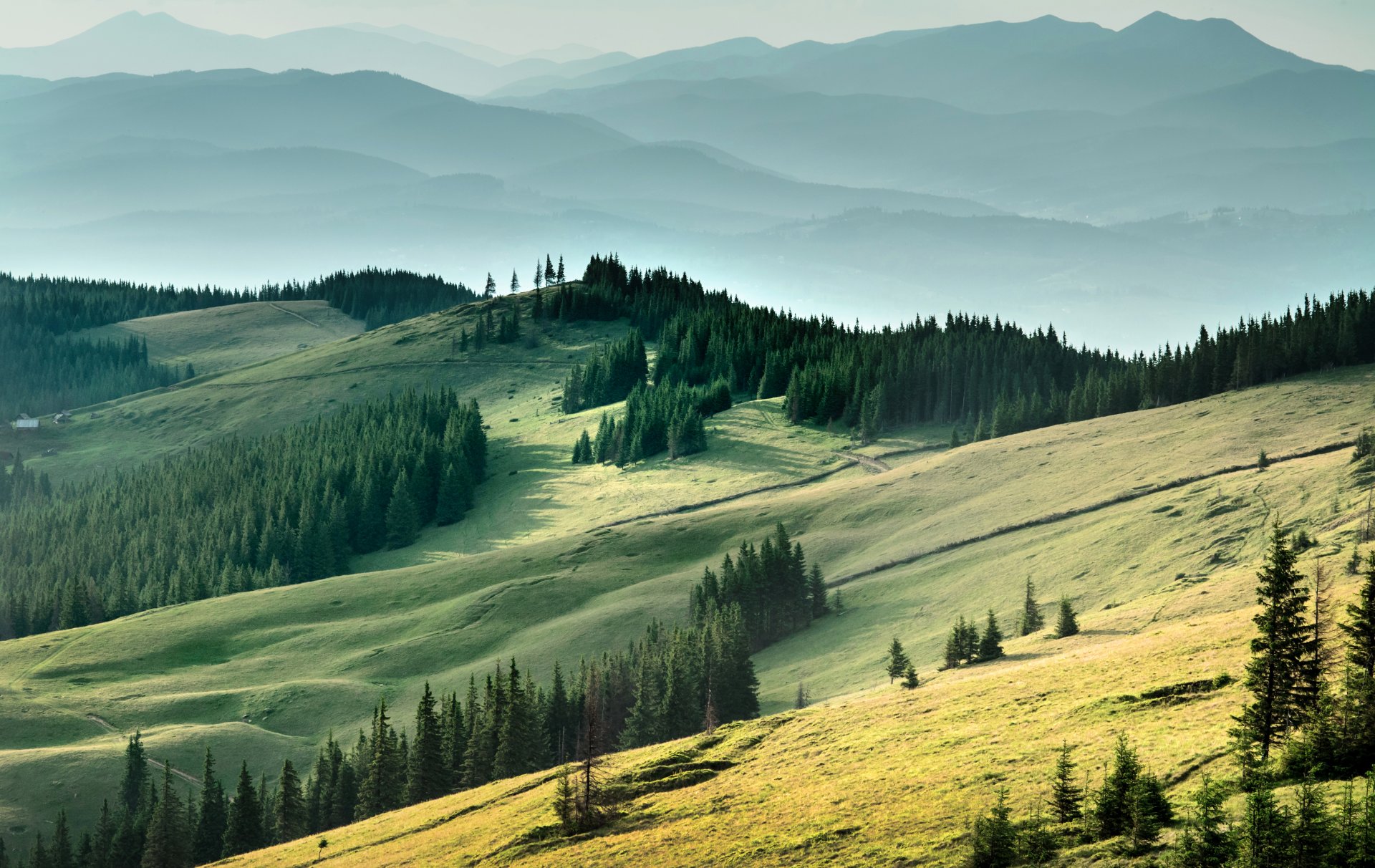 ukraina karpaty góry pola lasy