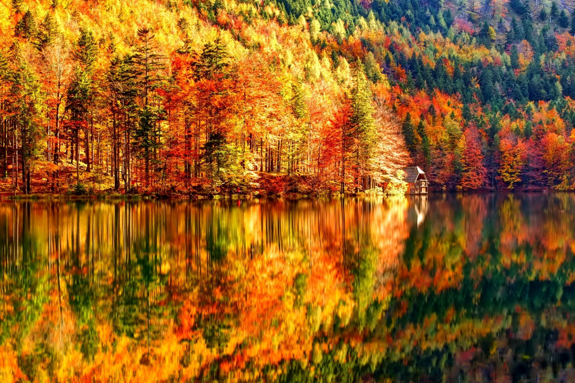 hang wald see herbst hütte bäume