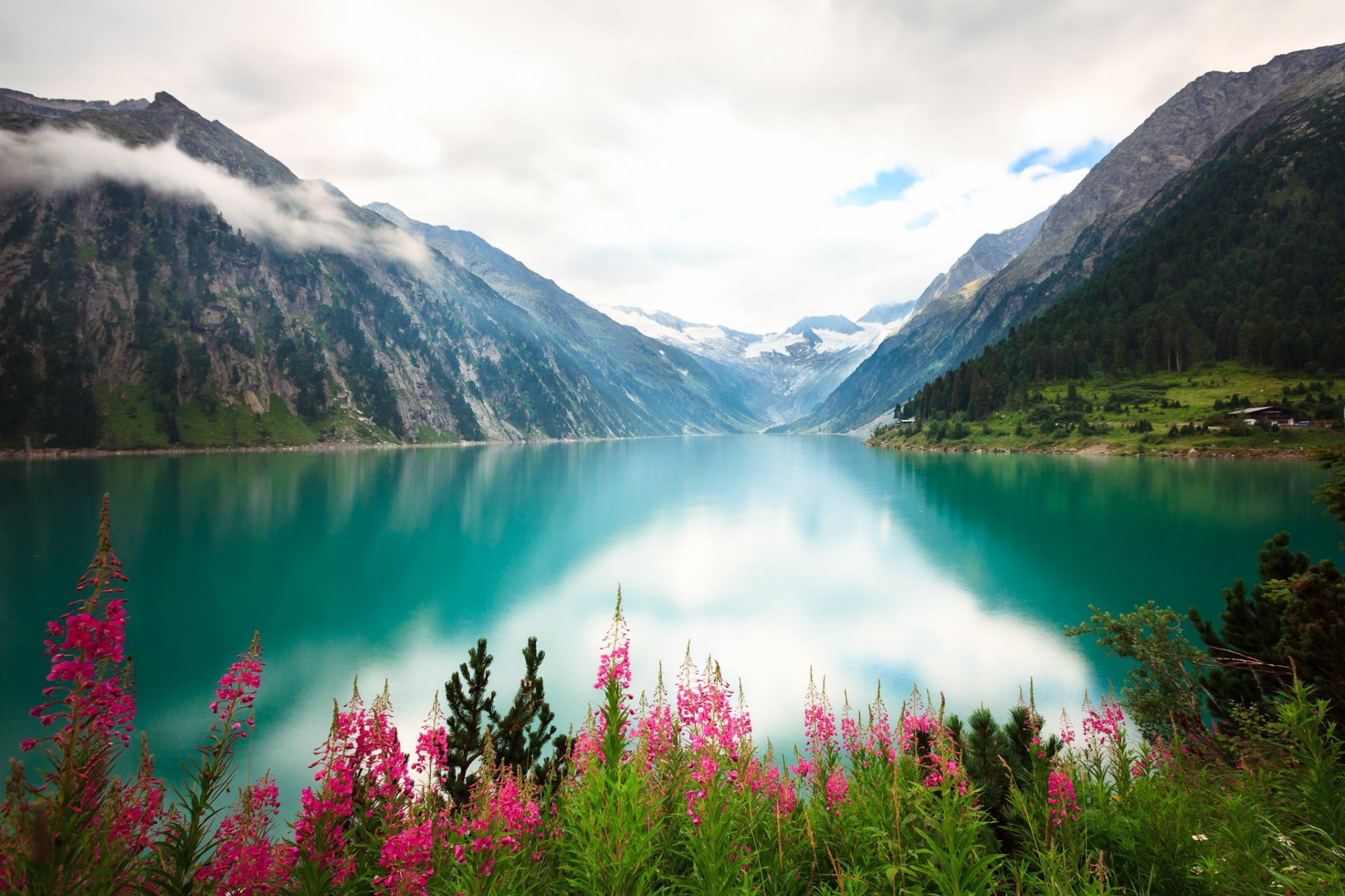 lac côte fleurs rivière montagnes nuages