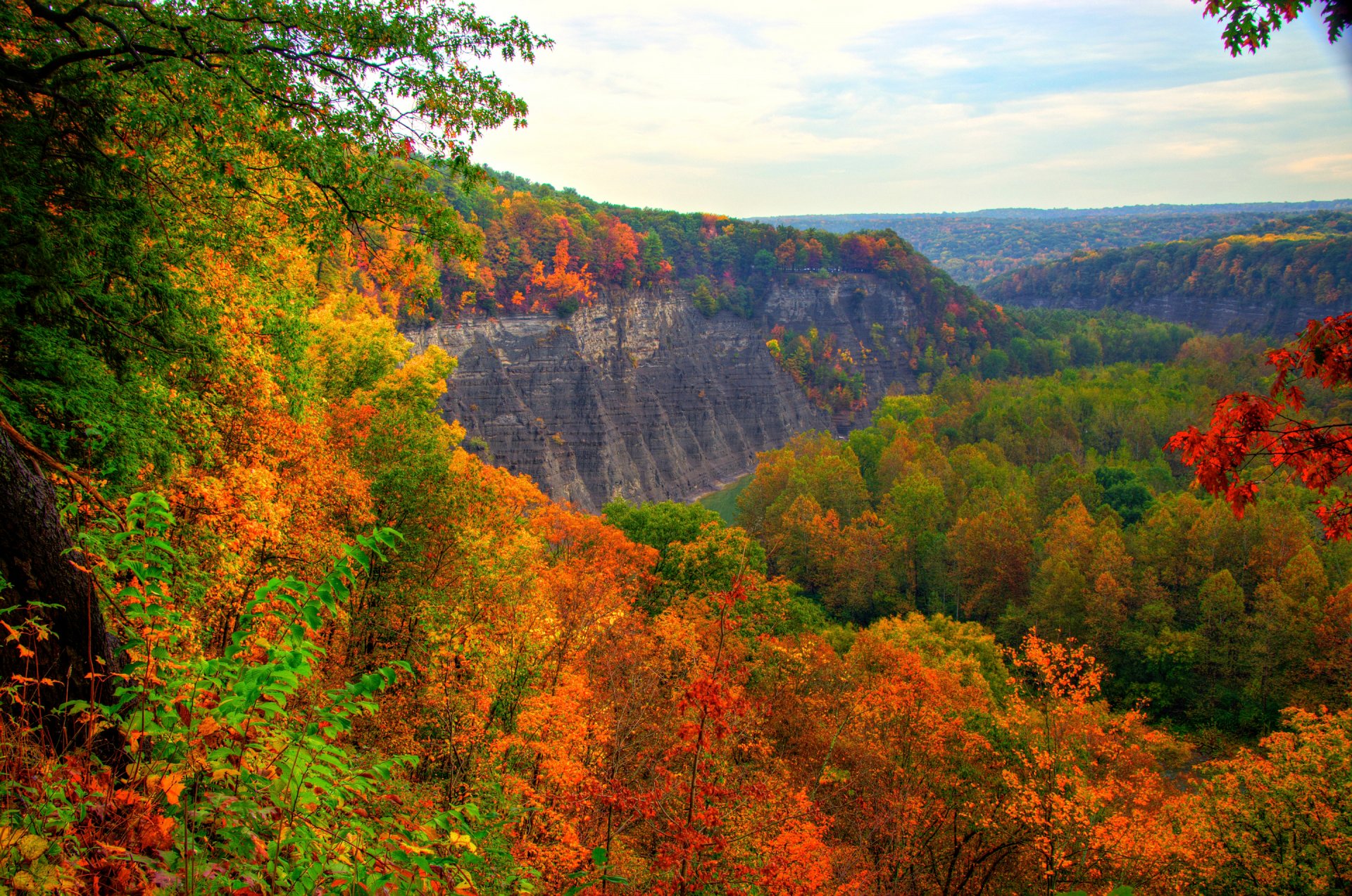 ky mountain forest tree autumn