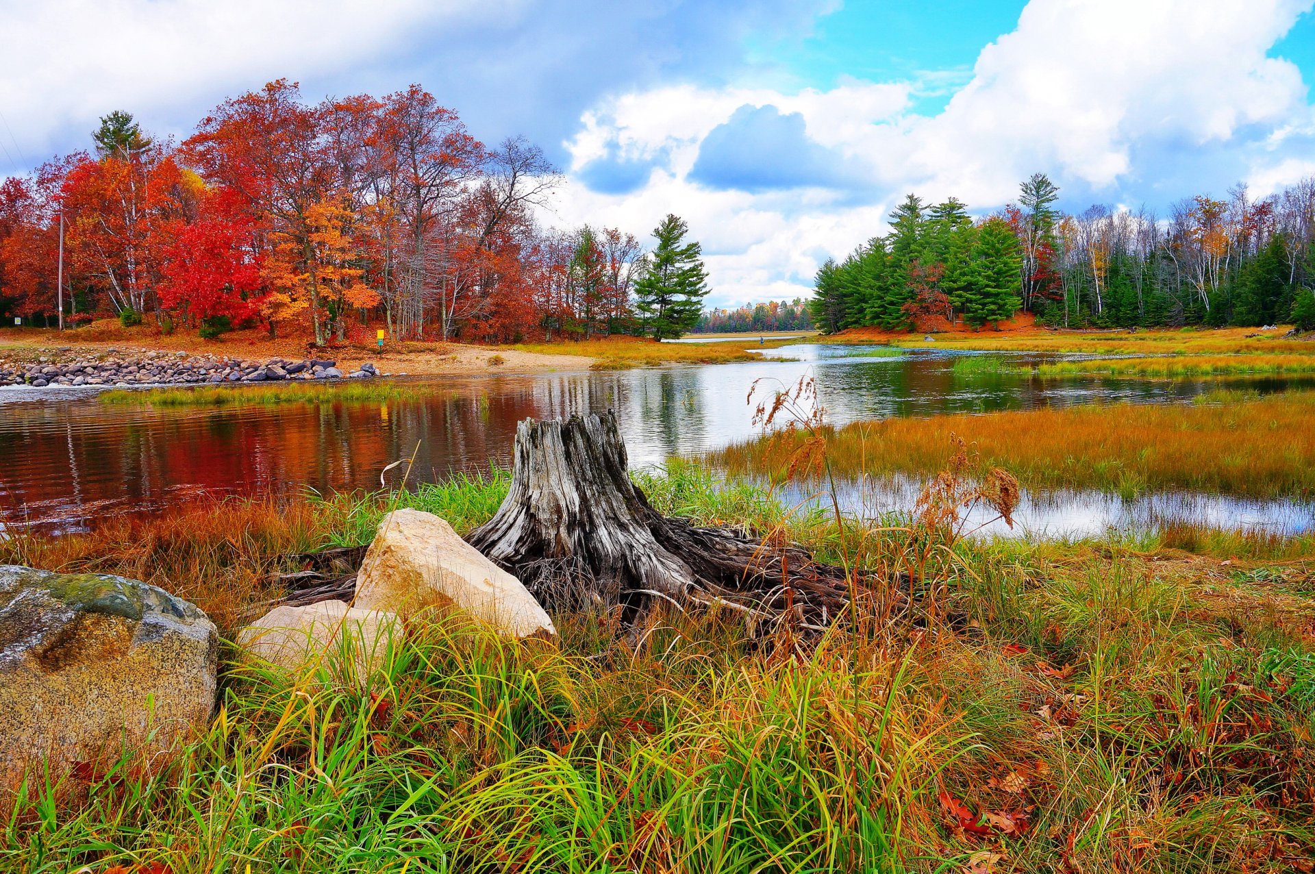 autumn landscape river stones grass nature photo