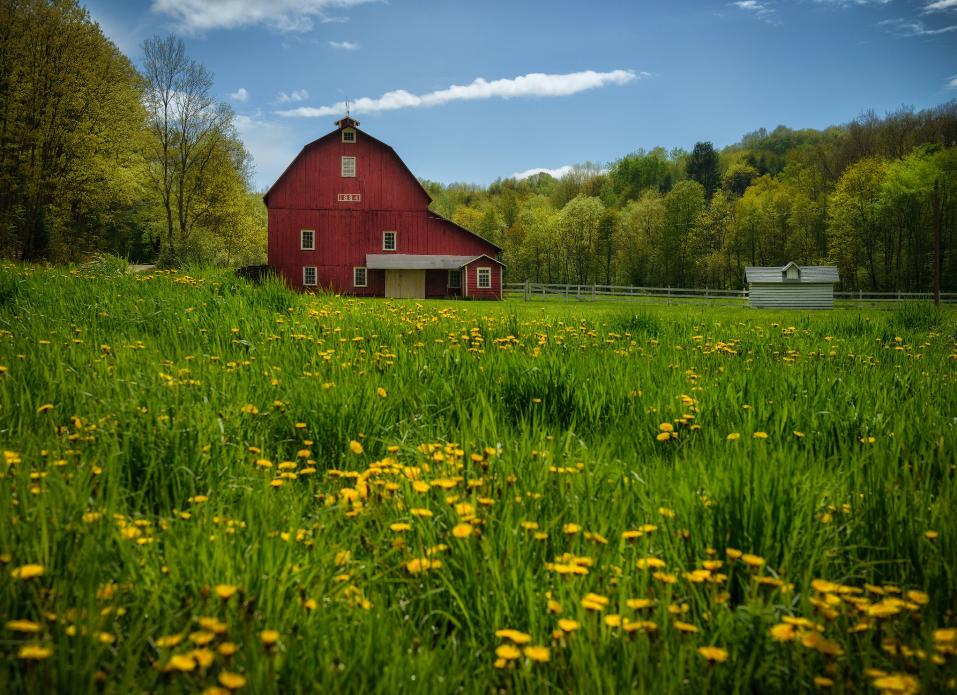 new albany pennsylvania new albany dandelions barn trees meadow