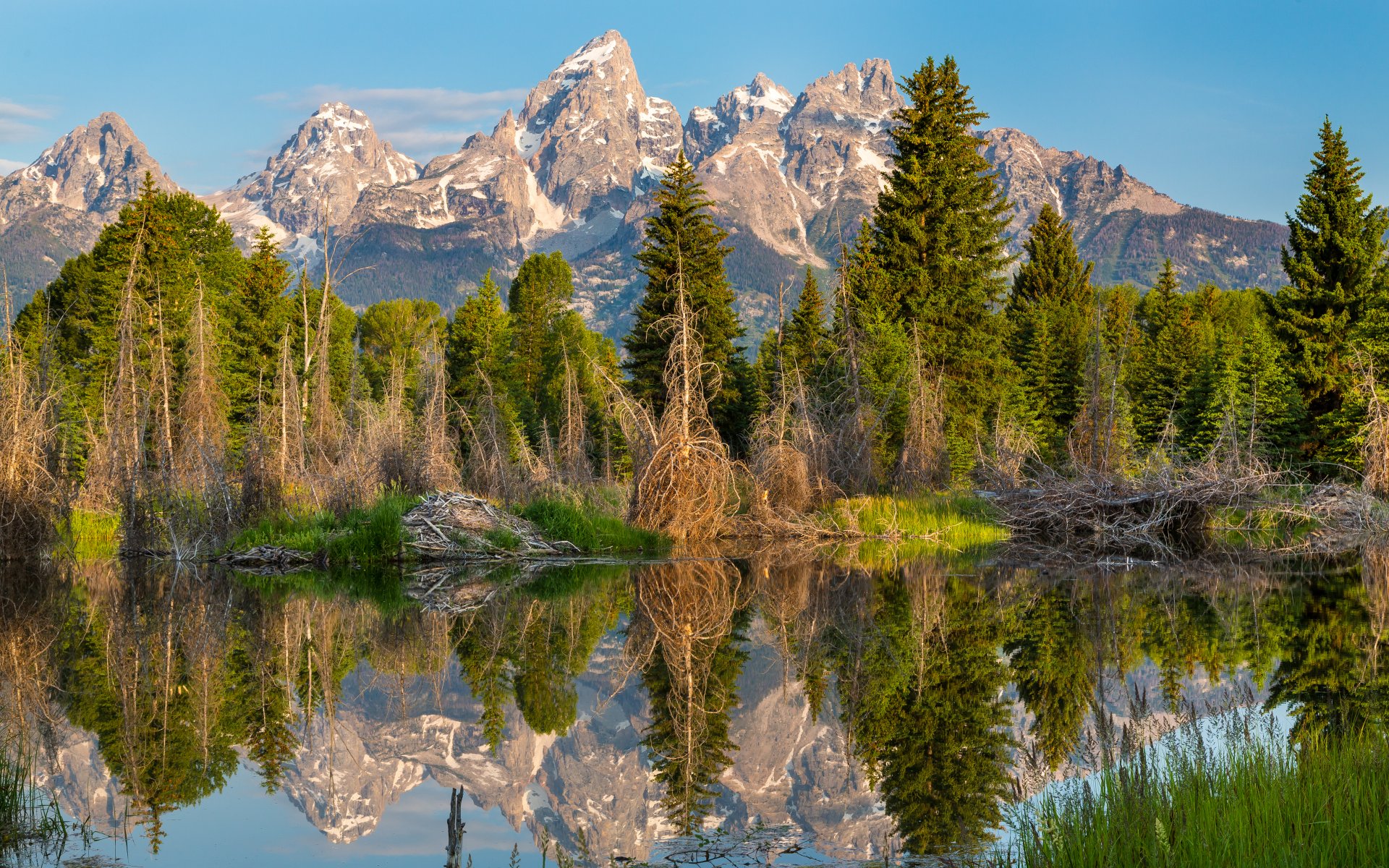 berge wald see natur