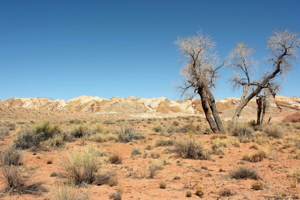 Blue sky over the burnt-out desert