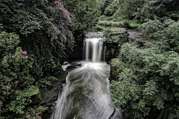 Una vista increíble de las cataratas Jesmond Dene en Inglaterra