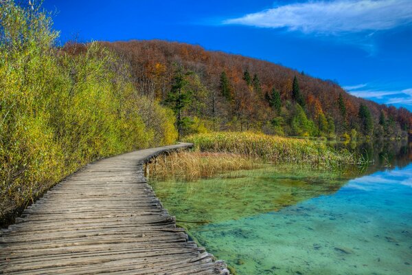 Autumn walk along the path along the lake