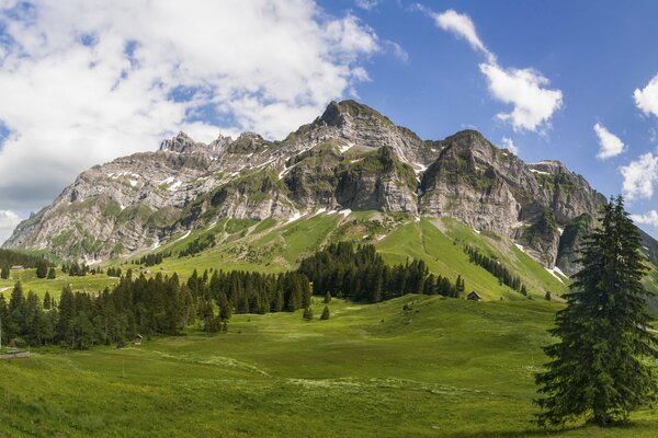 Cimas de montañas en prados verdes