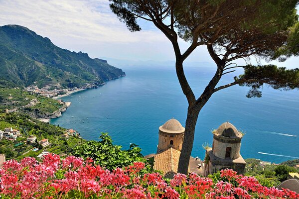 Italia. Flores en la orilla del mar