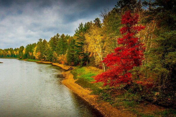 Arbres rouges jaunes et verts au bord de la rivière