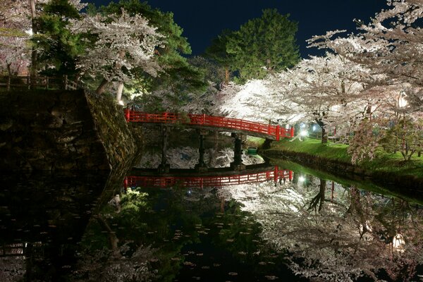 Parc près du réservoir au printemps au Japon