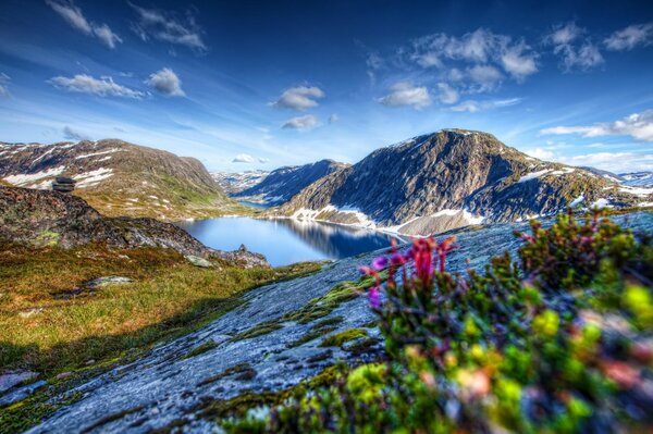 In the mountains, the river has made a life for itself