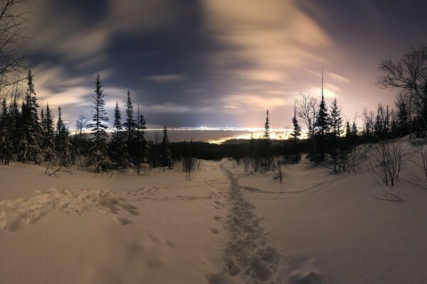 Night winter beautiful landscape