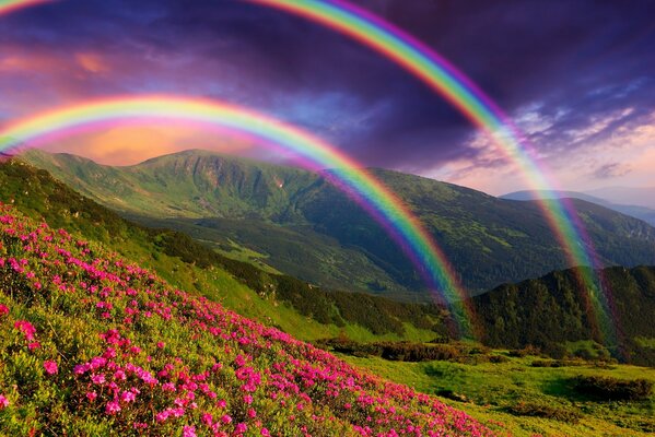 Arc-en-ciel du soir après la pluie