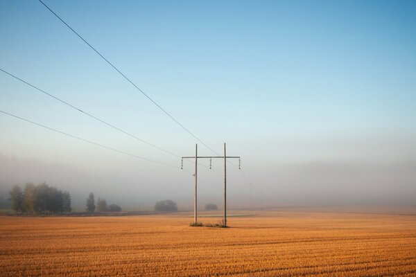 Paesaggio di campo nebbioso e linee elettriche