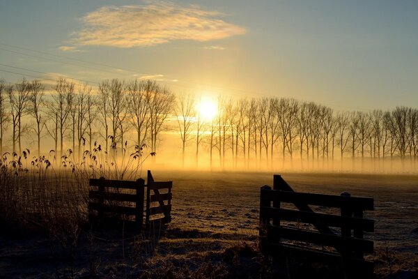 Soleil d or au coucher du soleil