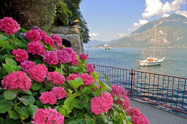 Italienische Promenade in Blumen