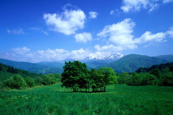 Die Pracht der Farben der Wolken am Himmel, das Tal mit Bergen, Wiese, Gras und Bäumen